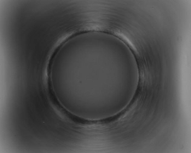 X0000093160674200710031446