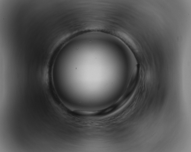 X0000093160676200710031446