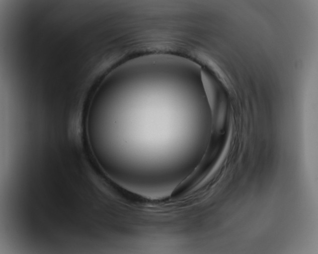 X0000093160677200710031446