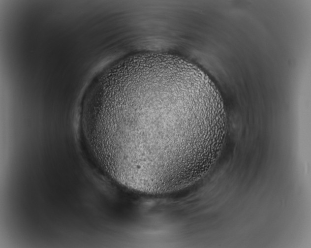 X0000093160679200710031446