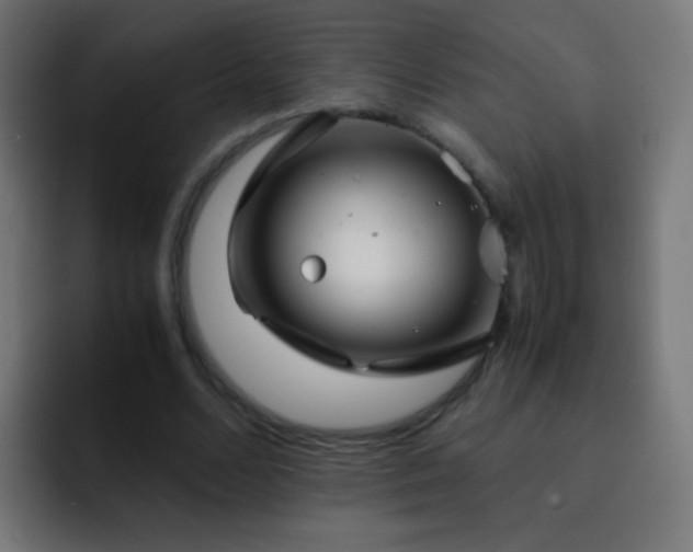 X0000093160680200710031446