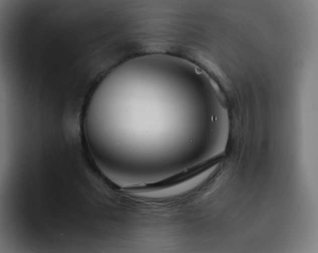 X0000093160681200710031446