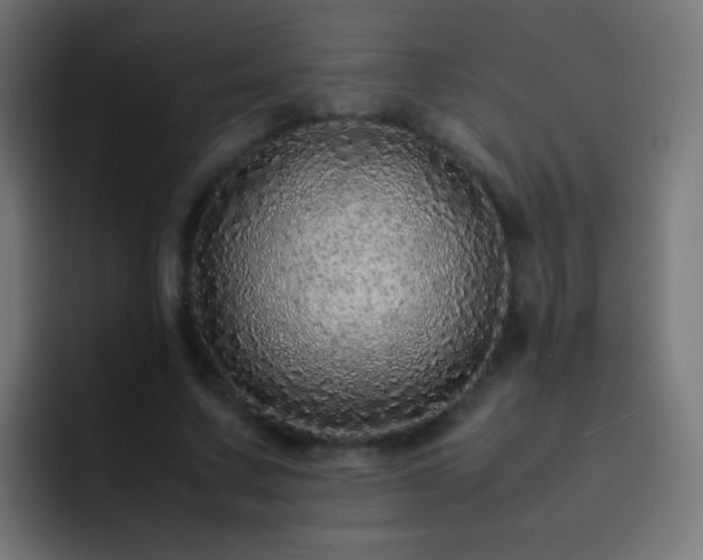 X0000093160683200710031446