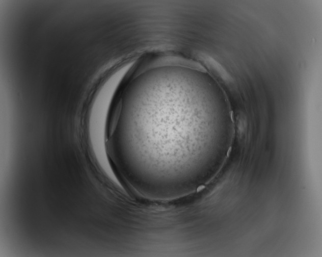 X0000093160684200710031446
