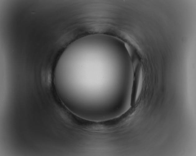 X0000093160685200710031446