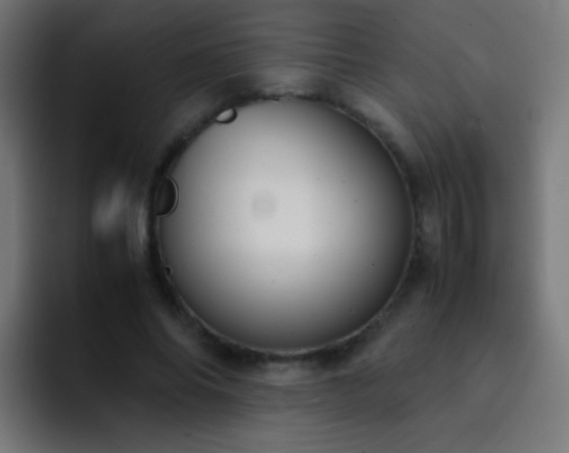 X0000093160686200710031446