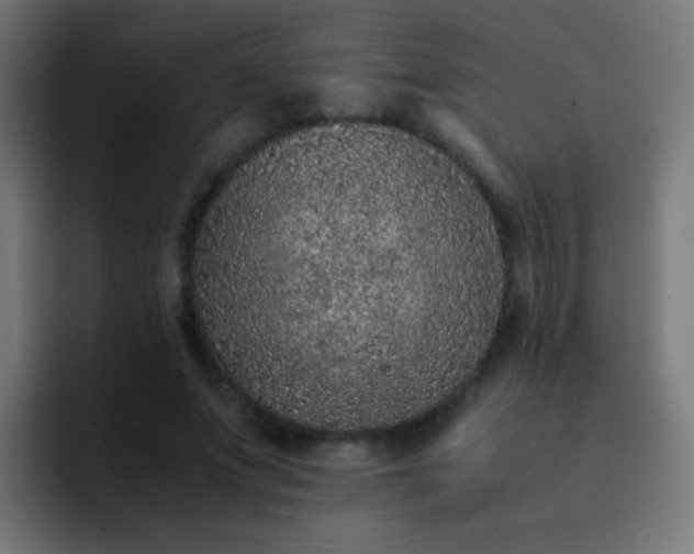 X0000093160687200710031446