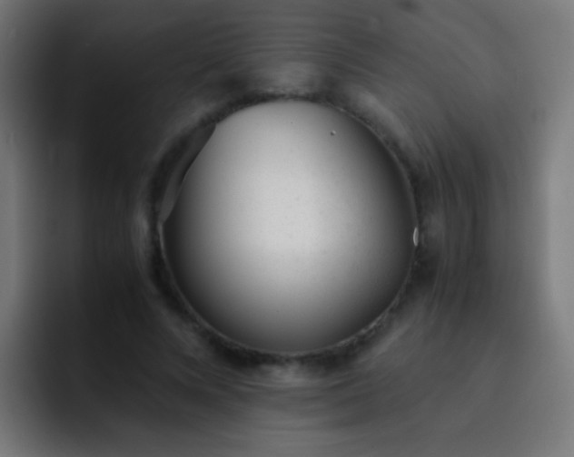 X0000093160688200710031446