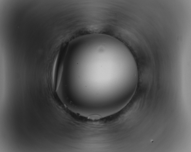 X0000093160689200710031446