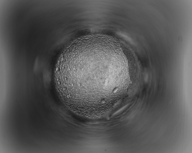 X0000093160691200710031446