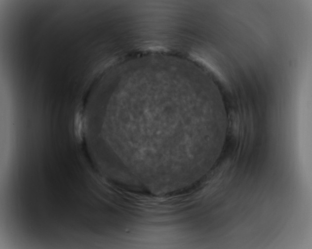 X0000093160692200710031446