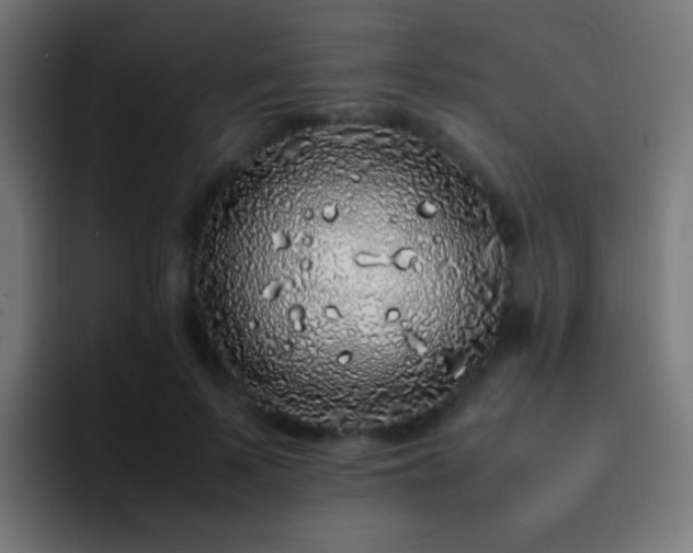 X0000093160695200710031446