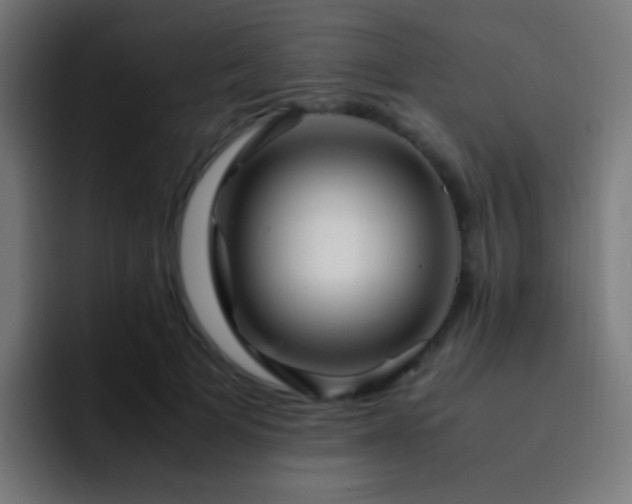X0000093160697200710031446