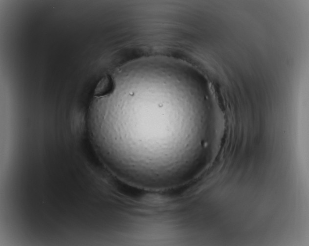 X0000093160699200710031446