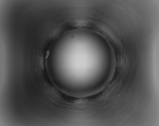 X0000093160700200710031446