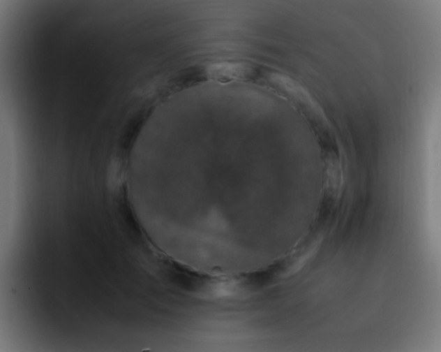 X0000093160701200710031446