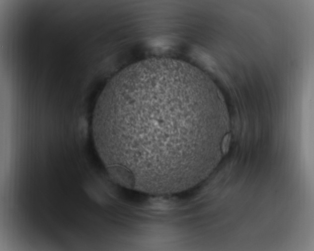 X0000093160703200710031446