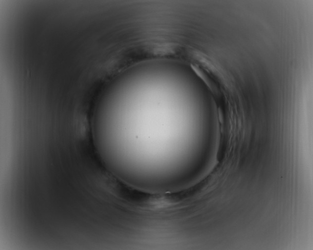 X0000093160704200710031446