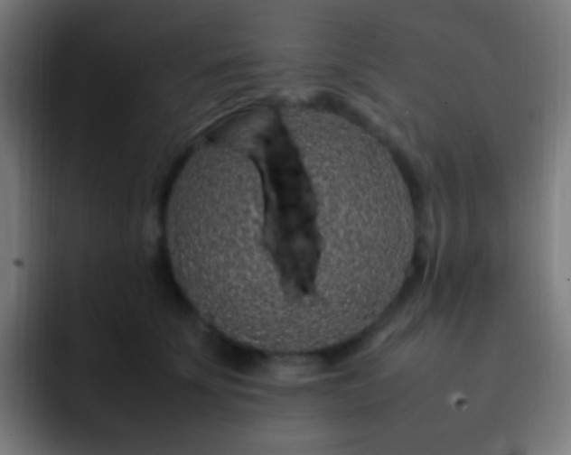 X0000093160707200710031446