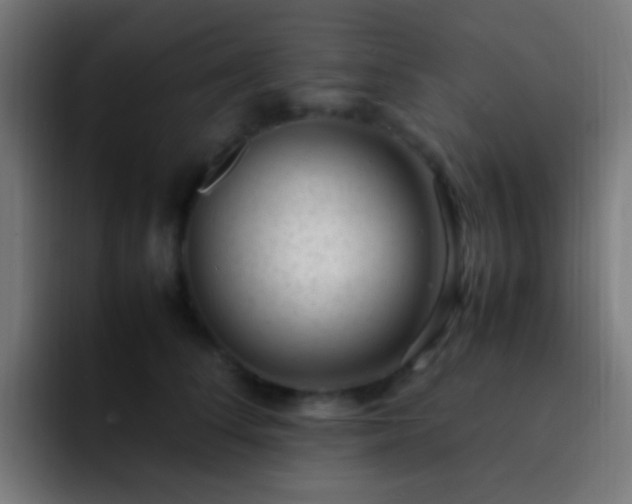 X0000093160708200710031446