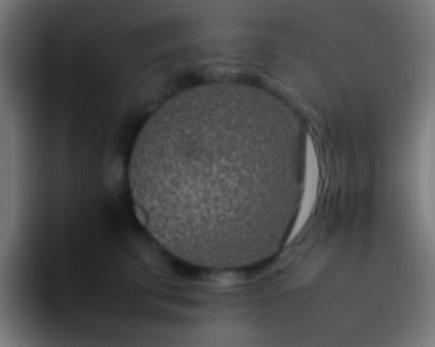 X0000093160711200710031446