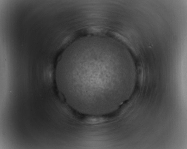 X0000093160712200710031446