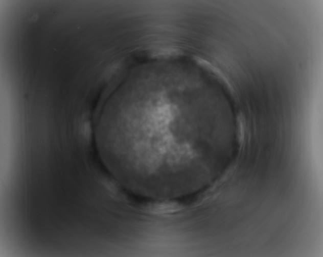 X0000093160716200710031446