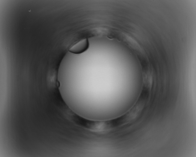 X0000093160717200710031446