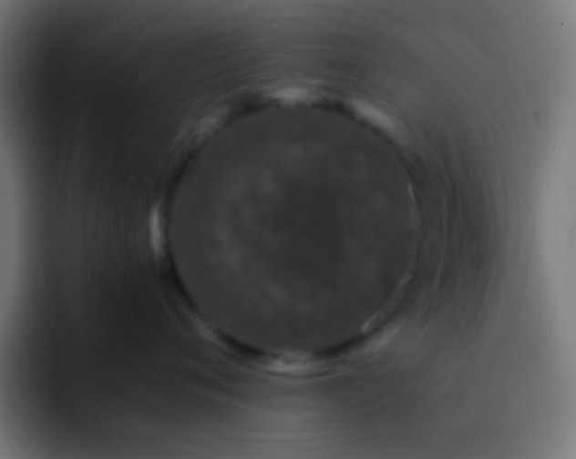 X0000093160720200710031446