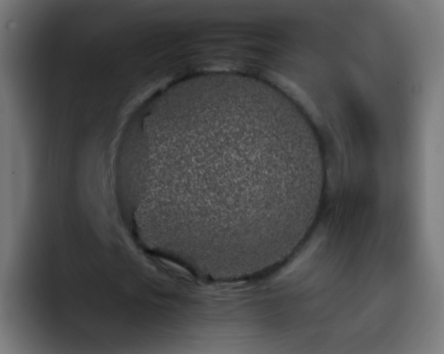 X0000093160721200710031445