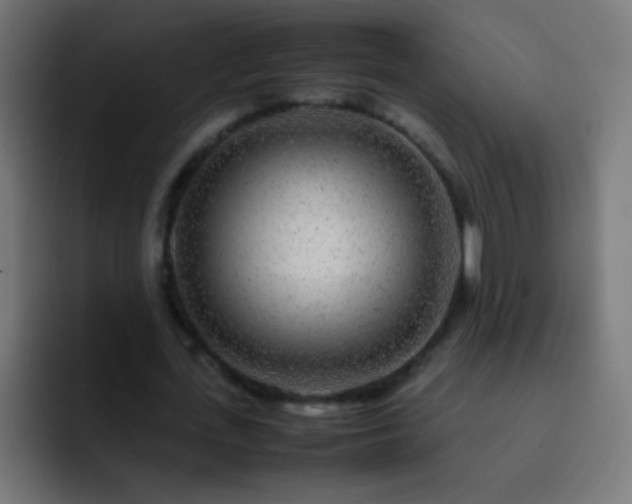 X0000093160723200710031445