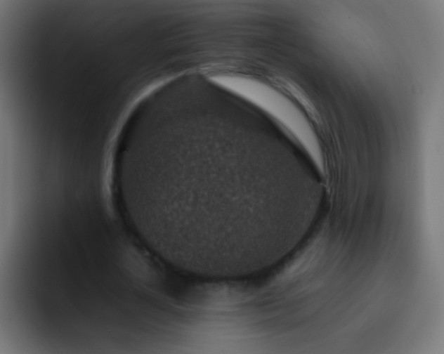 X0000093160724200710031445