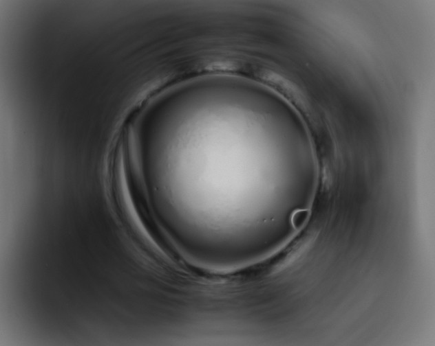 X0000093160725200710031445