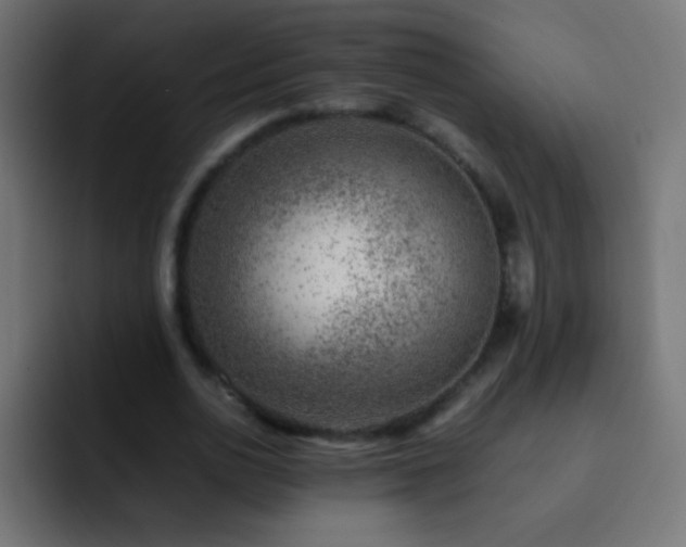 X0000093160726200710031445