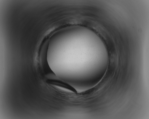 X0000093160727200710031445