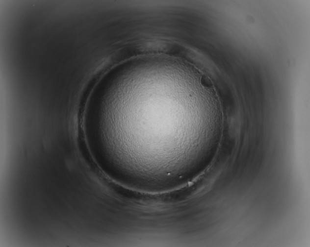 X0000093160729200710031445