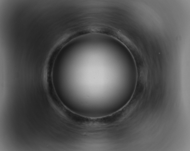 X0000093160730200710031445