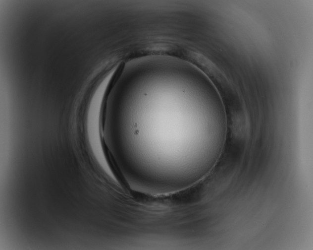 X0000093160731200710031445