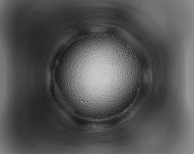 X0000093160733200710031445