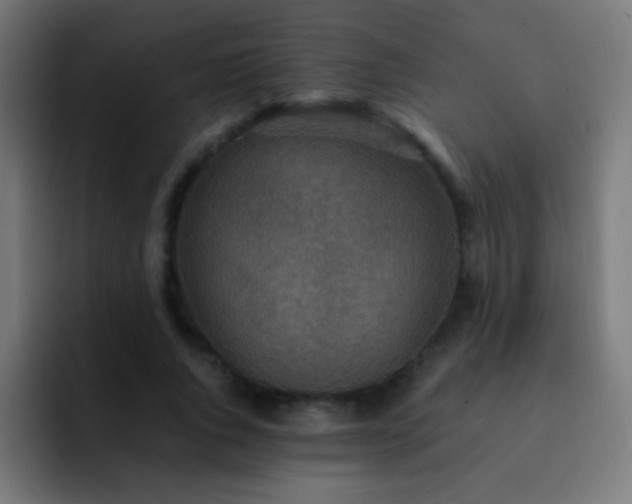 X0000093160736200710031445