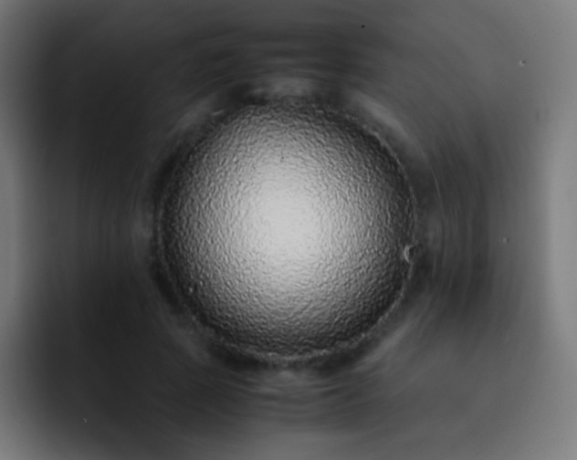 X0000093160737200710031445