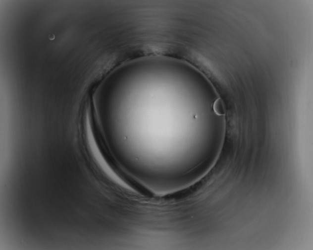 X0000093160738200710031445