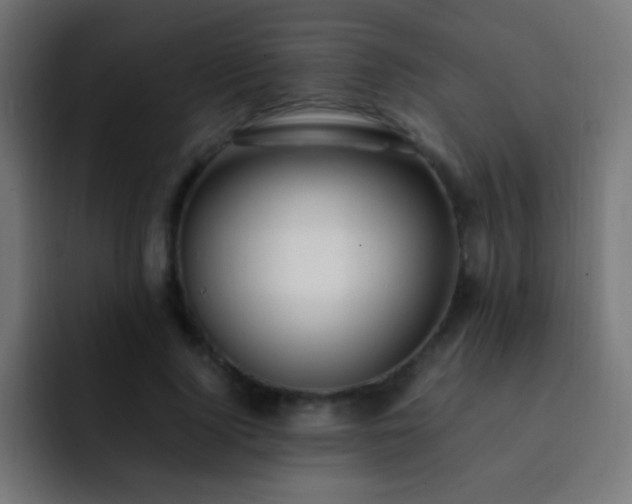 X0000093160740200710031445