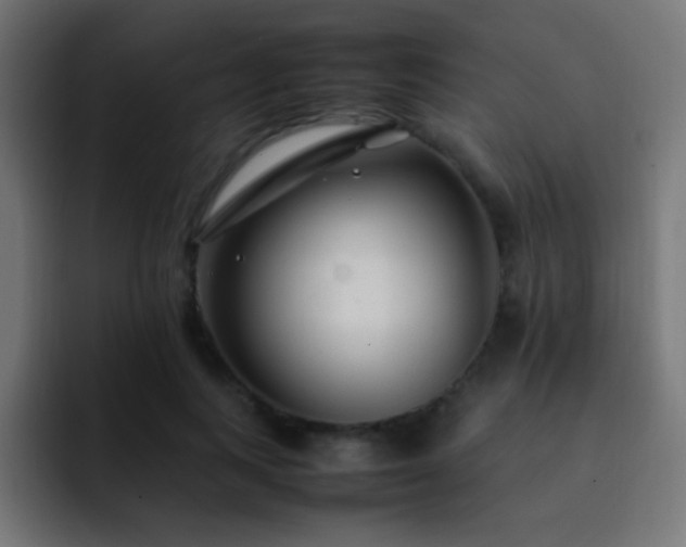 X0000093160743200710031445