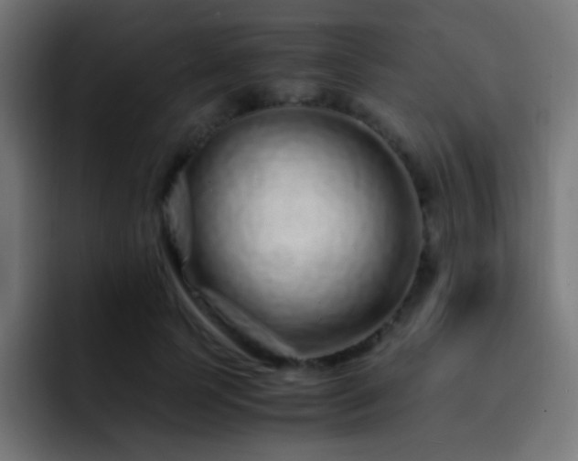 X0000093160745200710031445