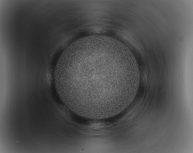 X0000093160746200710031445