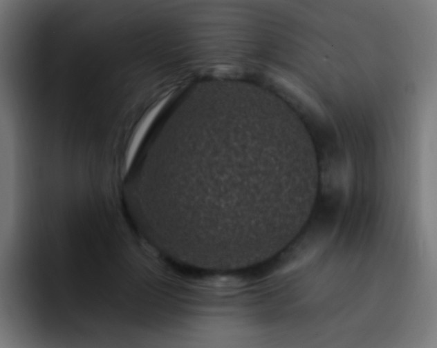 X0000093160748200710031445