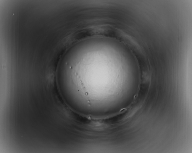 X0000093160753200710031445