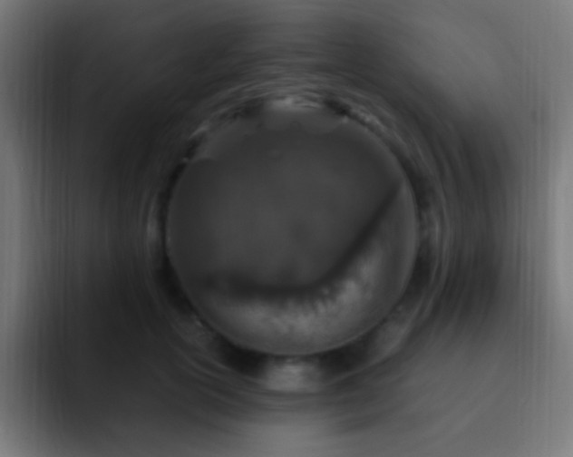 X0000093160754200710031445