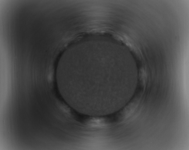 X0000093160760200710031445